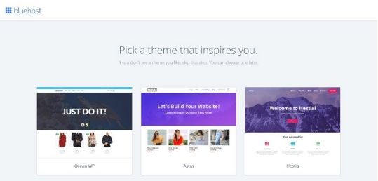 WORDPRESS THEME SELECTION